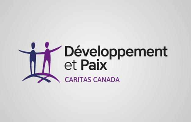 devp_logo_gray_fr_2_1