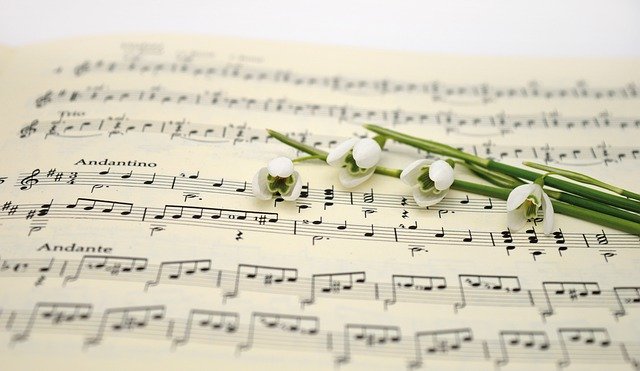 music-g4448d3493_640