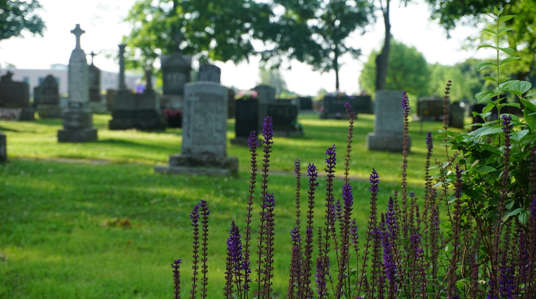 cimetière st-augustin2